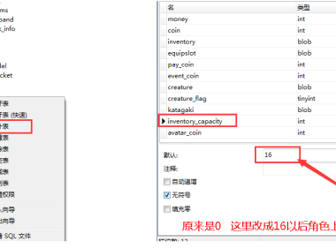 默认开通背包上限功能